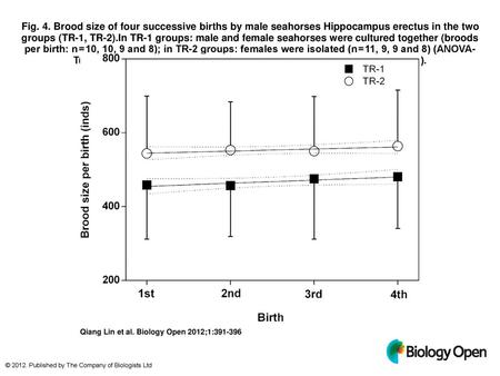 Fig. 4. Brood size of four successive births by male seahorses Hippocampus erectus in the two groups (TR-1, TR-2).In TR-1 groups: male and female seahorses.