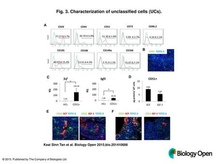 Fig. 3. Characterization of unclassified cells (UCs).