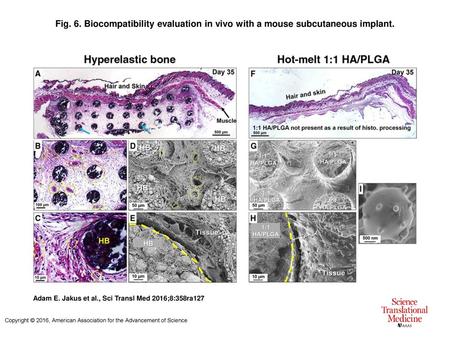 Biocompatibility evaluation in vivo with a mouse subcutaneous implant