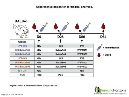 Experimental design for serological analyses.