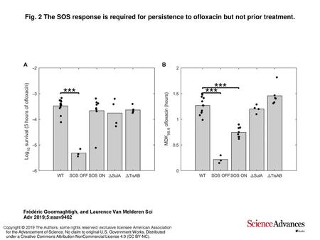 Fig. 2 The SOS response is required for persistence to ofloxacin but not prior treatment. The SOS response is required for persistence to ofloxacin but.