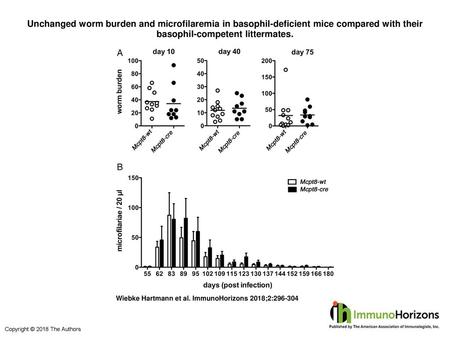 Unchanged worm burden and microfilaremia in basophil-deficient mice compared with their basophil-competent littermates. Unchanged worm burden and microfilaremia.