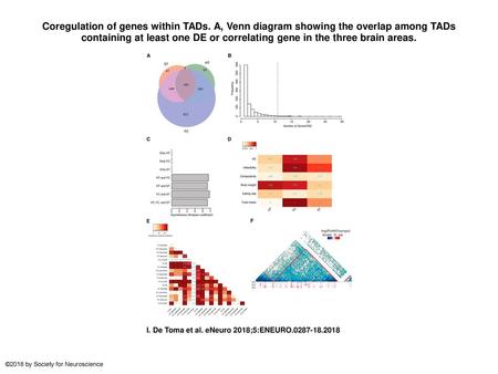 Coregulation of genes within TADs