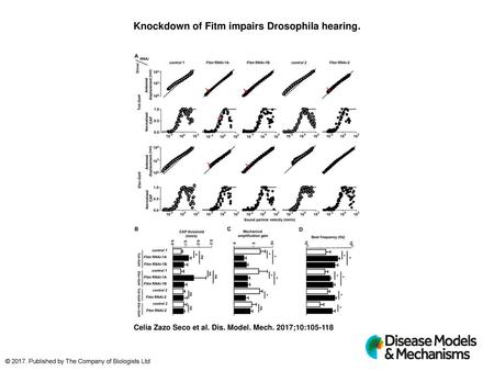 Knockdown of Fitm impairs Drosophila hearing.