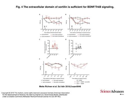 Fig. 4 The extracellular domain of sortilin is sufficient for BDNF/TrkB signaling. The extracellular domain of sortilin is sufficient for BDNF/TrkB signaling.