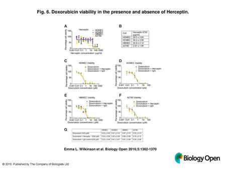 Doxorubicin viability in the presence and absence of Herceptin