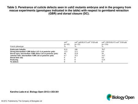 Table 3. Penetrance of cuticle defects seen in ush2 mutants embryos and in the progeny from rescue experiments (genotypes indicated in the table) with.