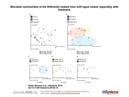 Microbial communities of the differently treated mice with lupus cluster separately after treatment. Microbial communities of the differently treated mice.