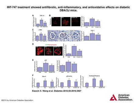 INT-747 treatment showed antifibrotic, anti-inflammatory, and antioxidative effects on diabetic DBA/2J mice. INT-747 treatment showed antifibrotic, anti-inflammatory,