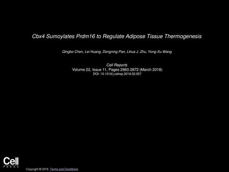 Cbx4 Sumoylates Prdm16 to Regulate Adipose Tissue Thermogenesis