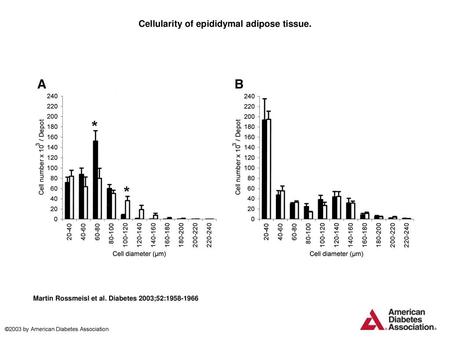 Cellularity of epididymal adipose tissue.