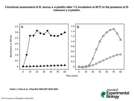 Functional assessment of B