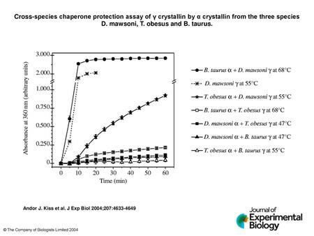 Cross-species chaperone protection assay of γ crystallin by α crystallin from the three species D. mawsoni, T. obesus and B. taurus. Cross-species chaperone.