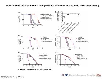 Modulation of life span by daf-12(null) mutation in animals with reduced DAF-2/InsR activity. Modulation of life span by daf-12(null) mutation in animals.