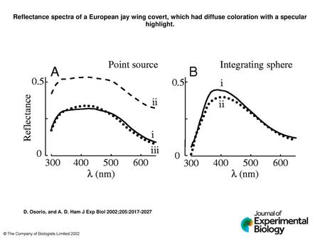 Reflectance spectra of a European jay wing covert, which had diffuse coloration with a specular highlight. Reflectance spectra of a European jay wing covert,