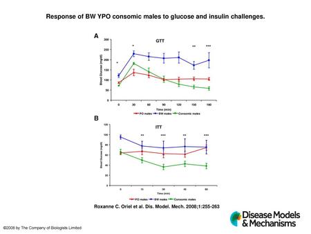 Response of BW YPO consomic males to glucose and insulin challenges.