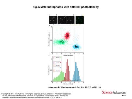 Fig. 5 Metafluorophores with different photostability.