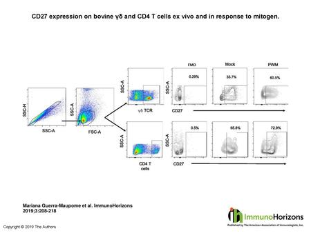 CD27 expression on bovine γδ and CD4 T cells ex vivo and in response to mitogen. CD27 expression on bovine γδ and CD4 T cells ex vivo and in response to.