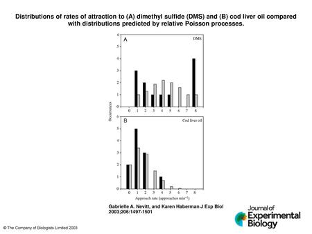 Distributions of rates of attraction to (A) dimethyl sulfide (DMS) and (B) cod liver oil compared with distributions predicted by relative Poisson processes.