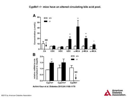 Cyp8b1−/− mice have an altered circulating bile acid pool.