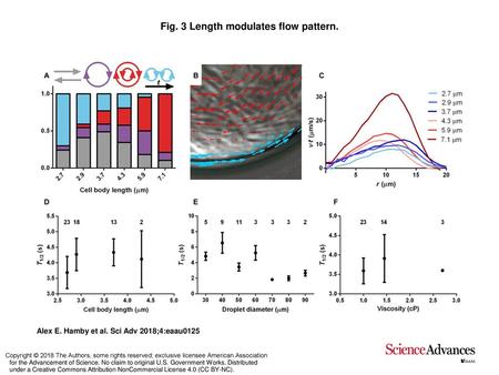 Fig. 3 Length modulates flow pattern.