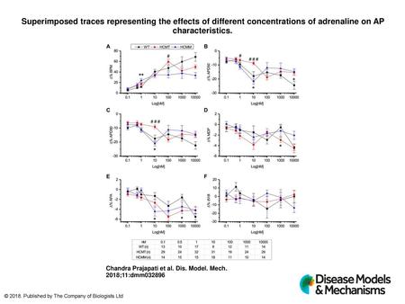 Superimposed traces representing the effects of different concentrations of adrenaline on AP characteristics. Superimposed traces representing the effects.