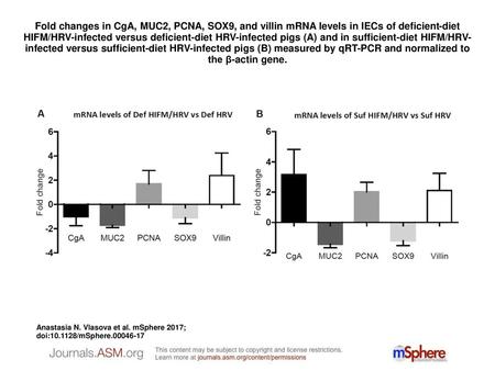 Fold changes in CgA, MUC2, PCNA, SOX9, and villin mRNA levels in IECs of deficient-diet HIFM/HRV-infected versus deficient-diet HRV-infected pigs (A) and.