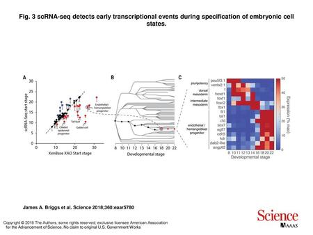 Fig. 3 scRNA-seq detects early transcriptional events during specification of embryonic cell states. scRNA-seq detects early transcriptional events during.