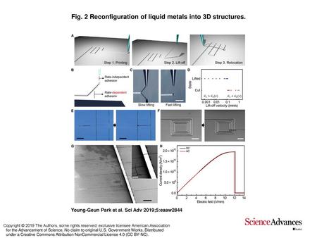 Fig. 2 Reconfiguration of liquid metals into 3D structures.