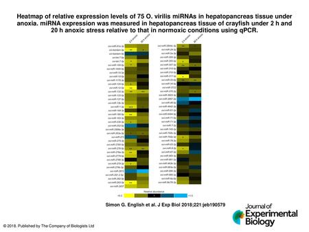 Heatmap of relative expression levels of 75 O