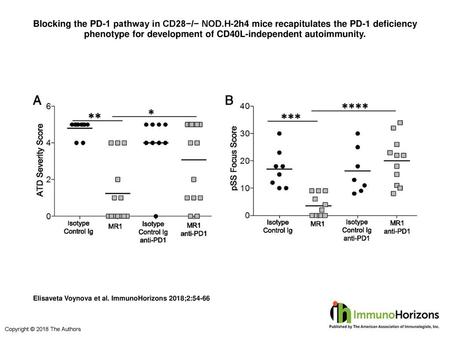 Blocking the PD-1 pathway in CD28−/− NOD