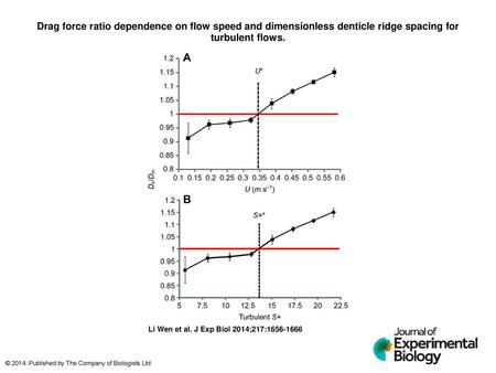 Drag force ratio dependence on flow speed and dimensionless denticle ridge spacing for turbulent flows. Drag force ratio dependence on flow speed and dimensionless.