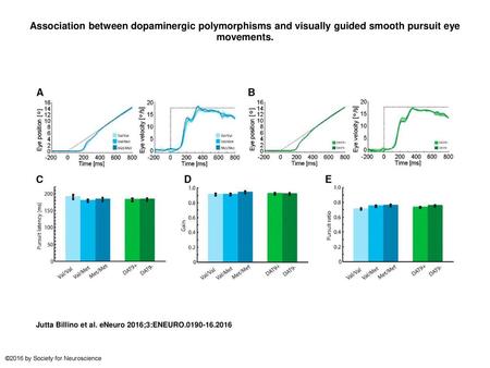 Association between dopaminergic polymorphisms and visually guided smooth pursuit eye movements. Association between dopaminergic polymorphisms and visually.