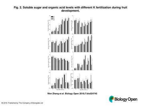 Fig. 2. Soluble sugar and organic acid levels with different K fertilization during fruit development. Soluble sugar and organic acid levels with different.