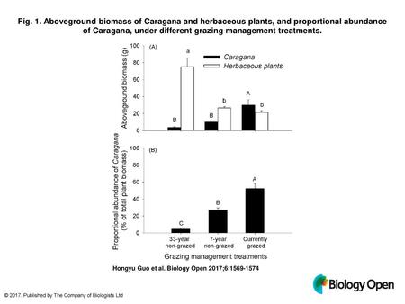 Fig. 1. Aboveground biomass of Caragana and herbaceous plants, and proportional abundance of Caragana, under different grazing management treatments. Aboveground.