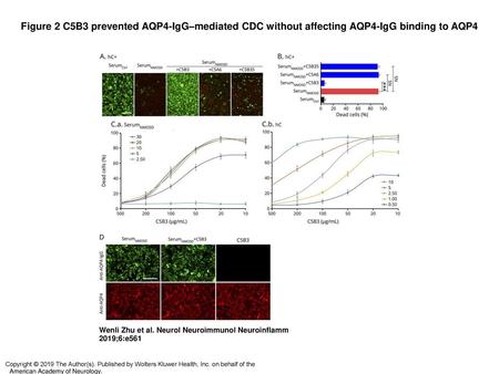 Figure 2 C5B3 prevented AQP4-IgG–mediated CDC without affecting AQP4-IgG binding to AQP4 C5B3 prevented AQP4-IgG–mediated CDC without affecting AQP4-IgG.