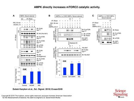 AMPK directly increases mTORC2 catalytic activity.