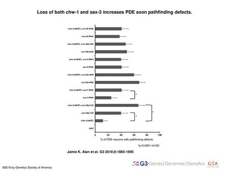 Loss of both chw-1 and sax-3 increases PDE axon pathfinding defects.