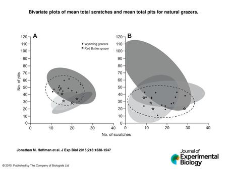 Bivariate plots of mean total scratches and mean total pits for natural grazers. Bivariate plots of mean total scratches and mean total pits for natural.