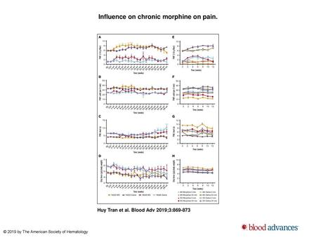 Influence on chronic morphine on pain.