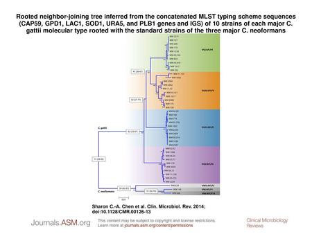 Rooted neighbor-joining tree inferred from the concatenated MLST typing scheme sequences (CAP59, GPD1, LAC1, SOD1, URA5, and PLB1 genes and IGS) of 10.