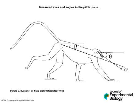 Measured axes and angles in the pitch plane.