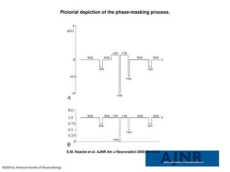 Pictorial depiction of the phase-masking process.