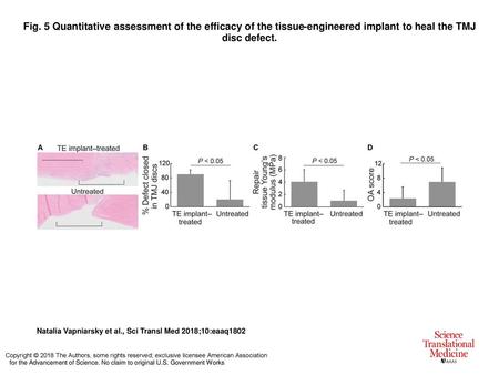 Fig. 5 Quantitative assessment of the efficacy of the tissue-engineered implant to heal the TMJ disc defect. Quantitative assessment of the efficacy of.