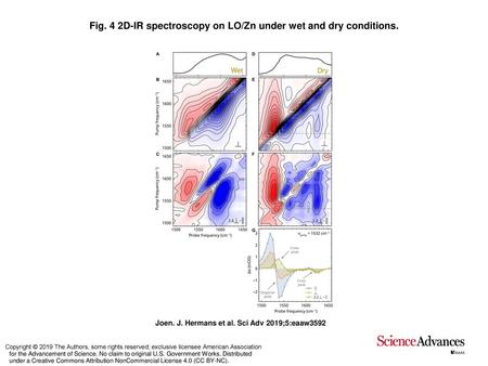 Fig. 4 2D-IR spectroscopy on LO/Zn under wet and dry conditions.