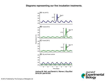 Diagrams representing our five incubation treatments.