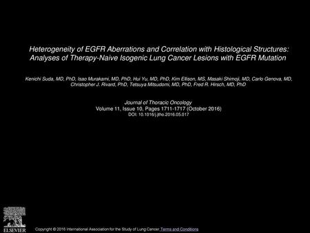 Heterogeneity of EGFR Aberrations and Correlation with Histological Structures: Analyses of Therapy-Naive Isogenic Lung Cancer Lesions with EGFR Mutation 