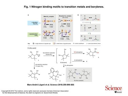 Fig. 1 Nitrogen binding motifs to transition metals and borylenes.