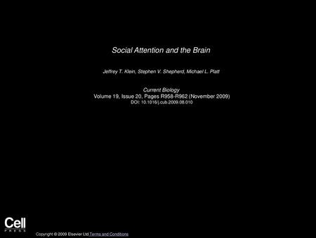 Social Attention and the Brain