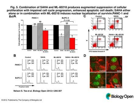 Fig. 5. Combination of SAHA and ML-60218 produces augmented suppression of cellular proliferation with impaired cell cycle progression, enhanced apoptotic.